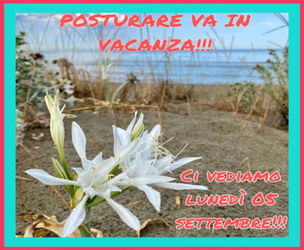 POSTURARE va in vacanza!